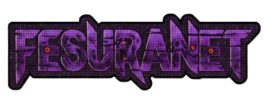 FesuraNet Logo